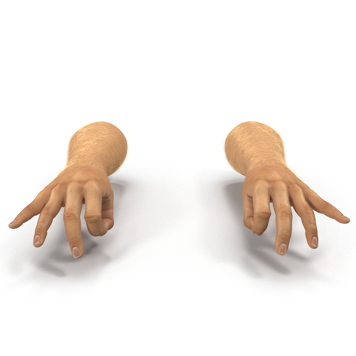 Man Hands 2 with Fur Pose 5 3D