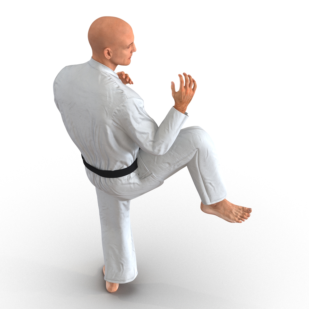 3D Karate Fighter Rigged