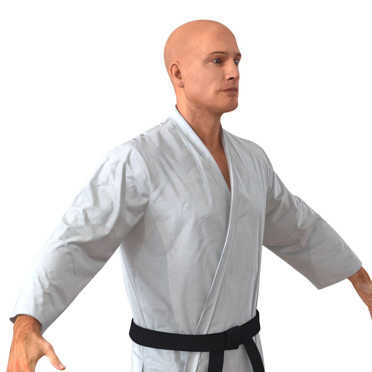 3D Karate Fighter Rigged