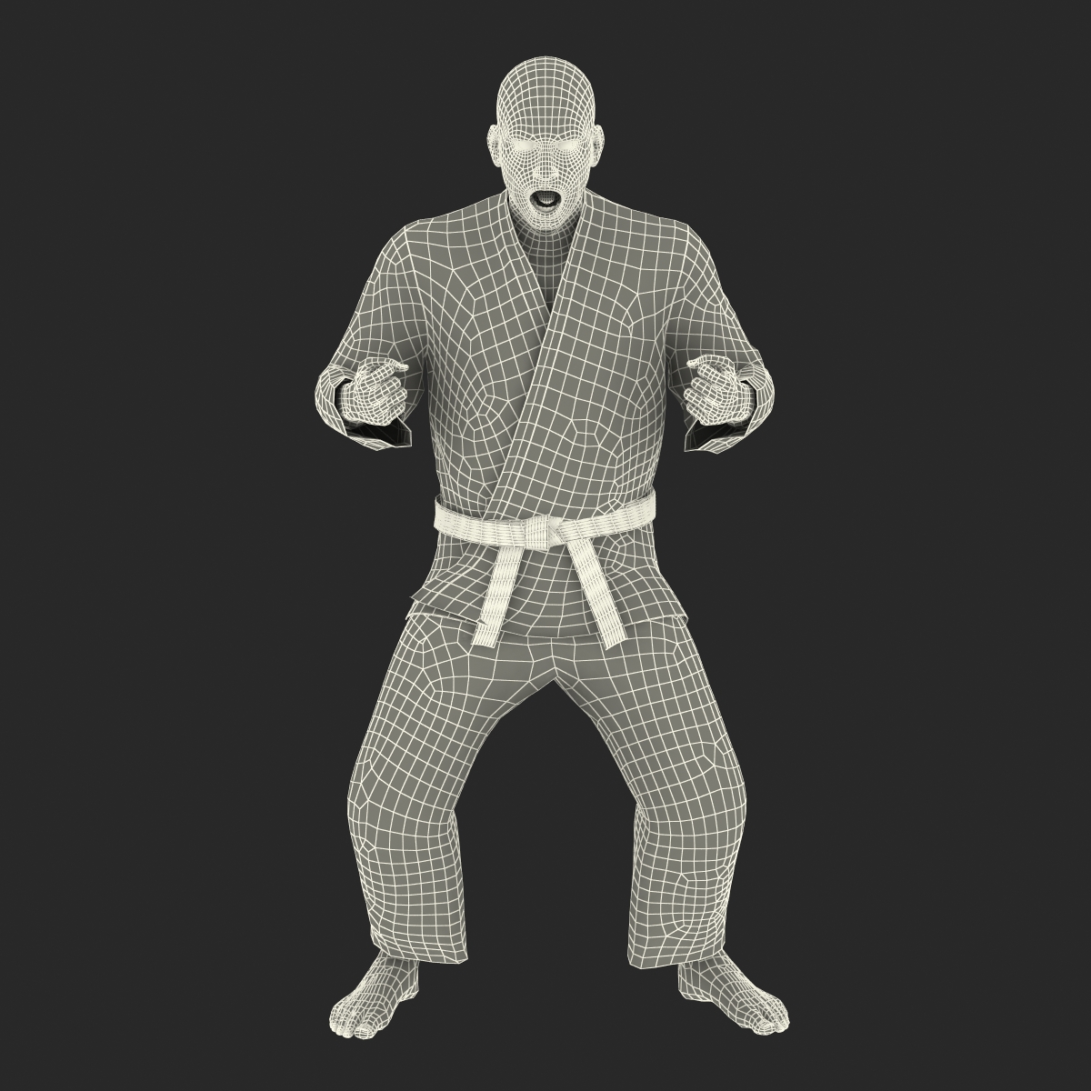 3D Karate Fighter Rigged