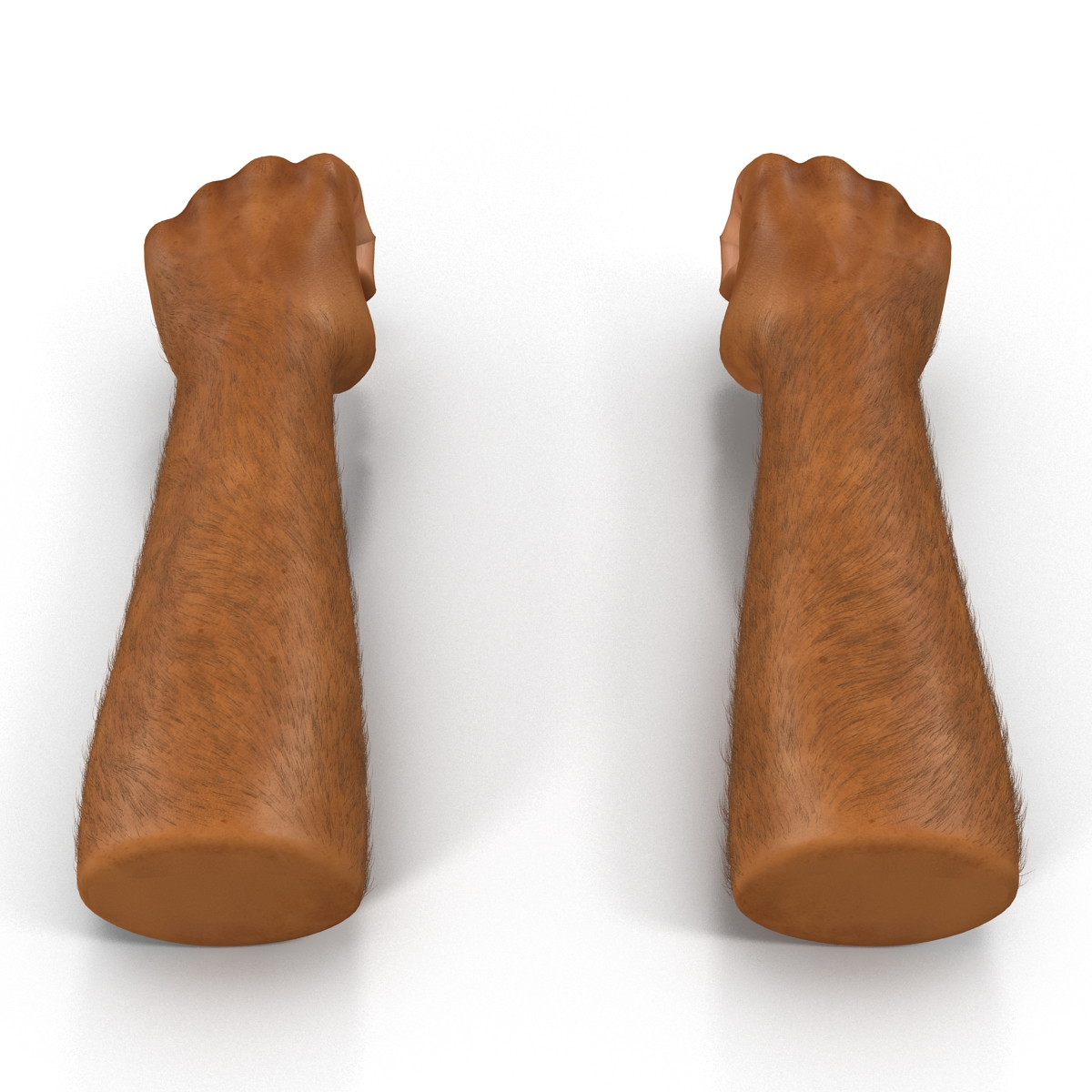 3D model African Man Hands 2 with Fur Pose 2