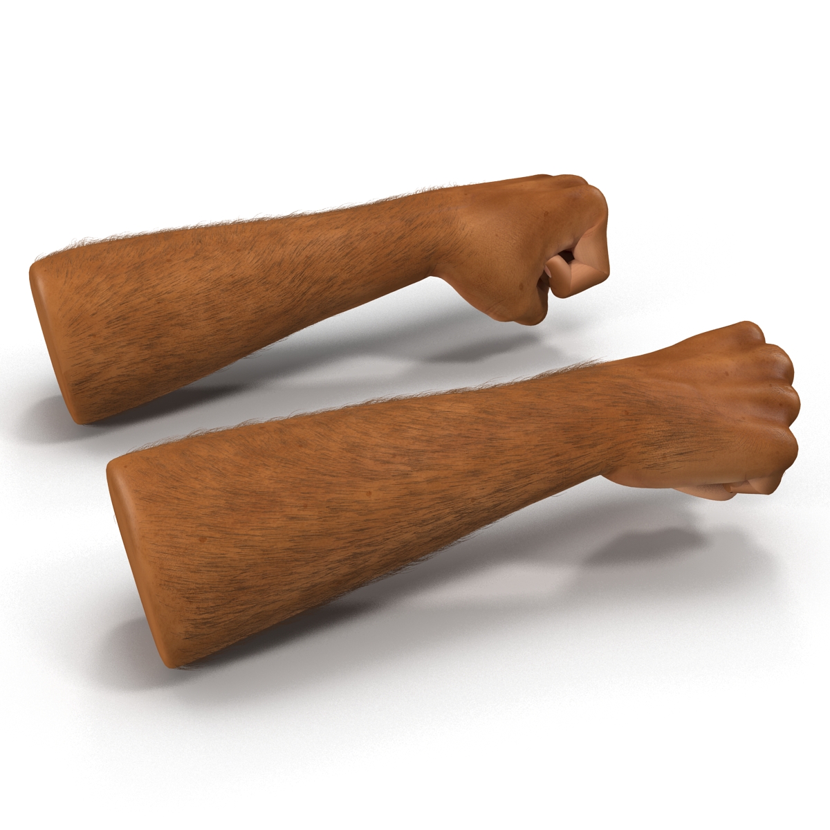 3D model African Man Hands 2 with Fur Pose 2