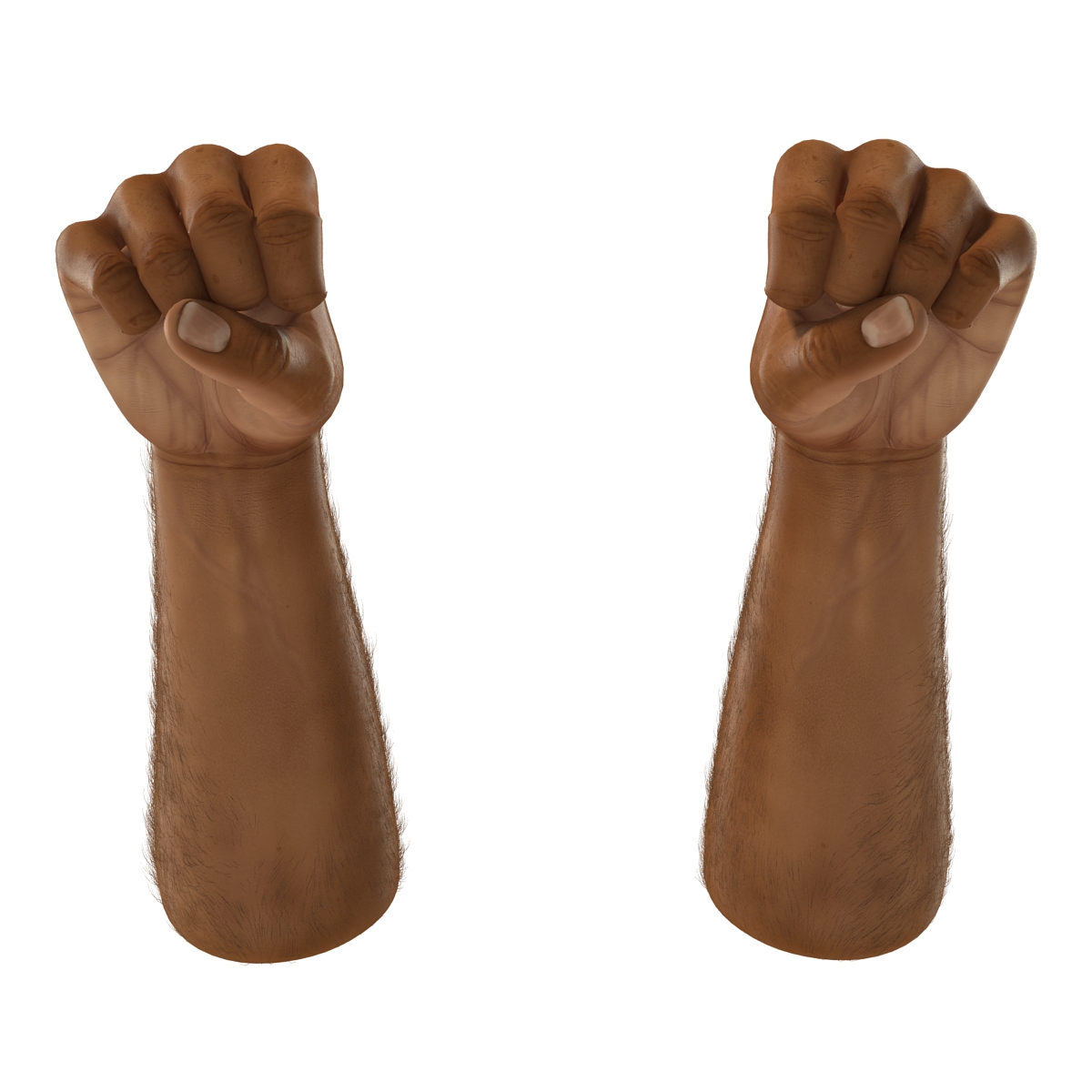 3D model African Man Hands 2 with Fur Pose 2