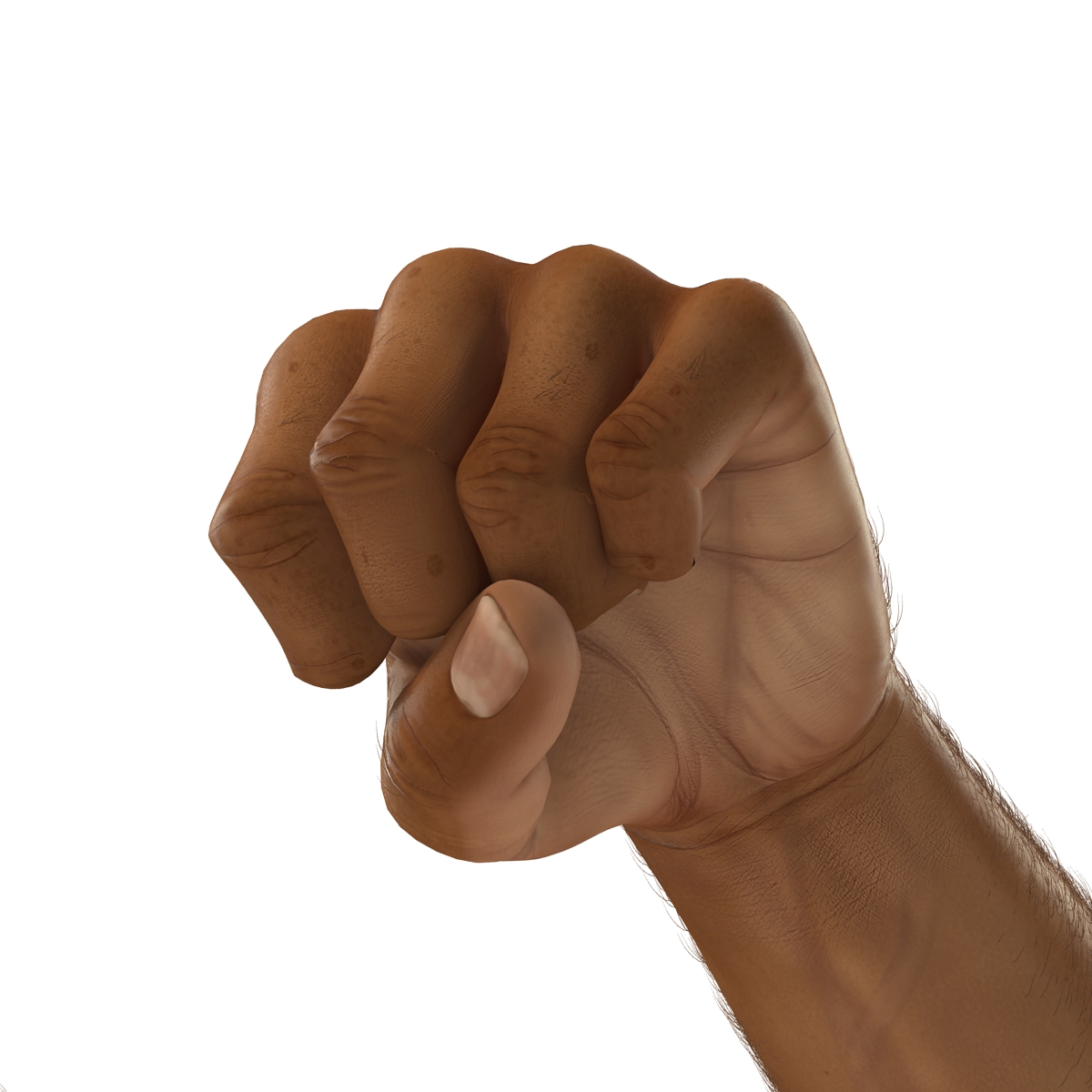 3D model African Man Hands 2 with Fur Pose 2