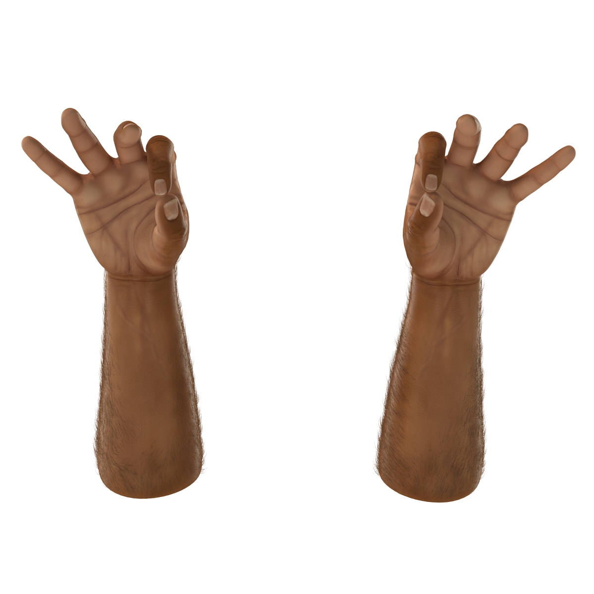 3D model African Man Hands 2 with Fur Pose 5