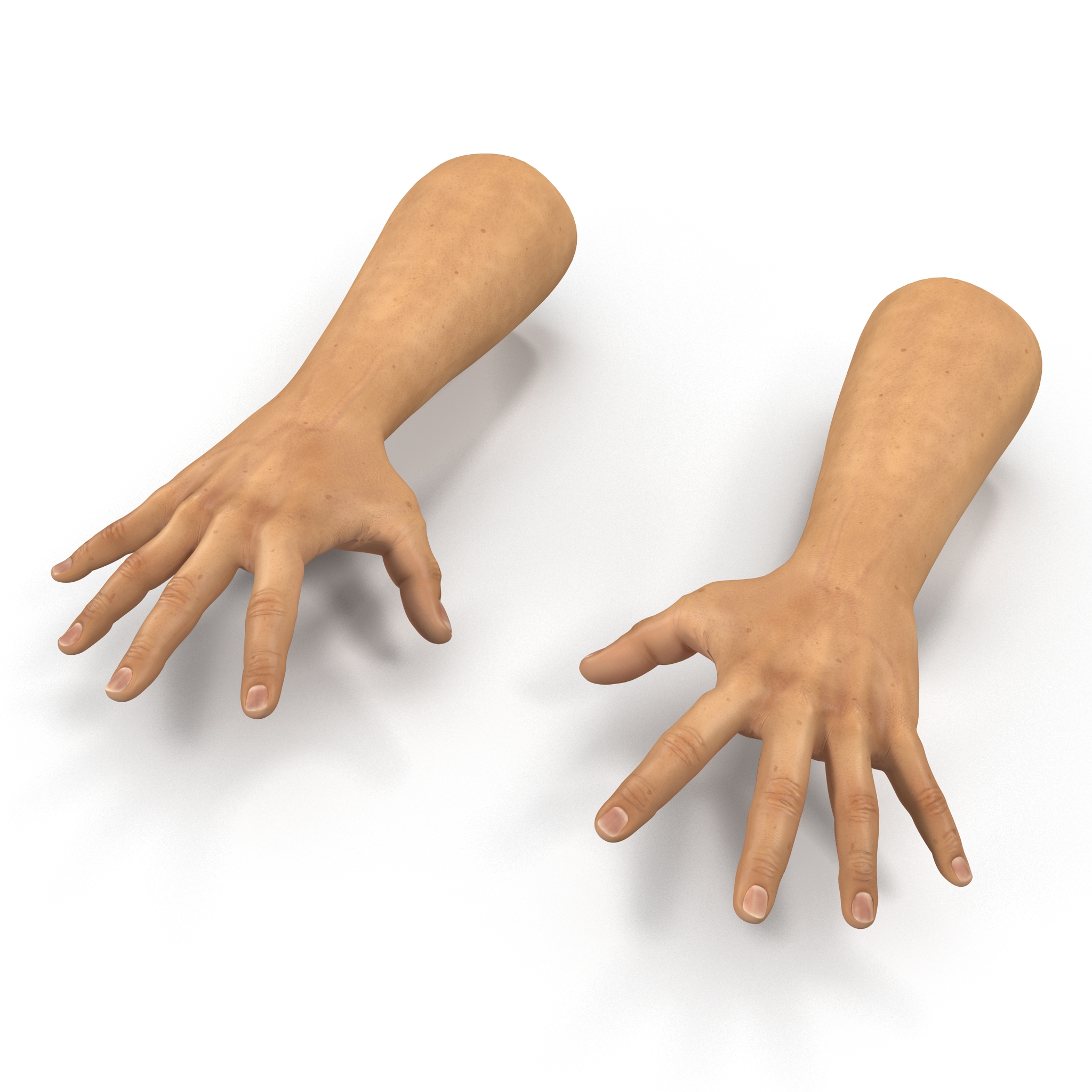 3D Man Hands 2 Pose 4 model