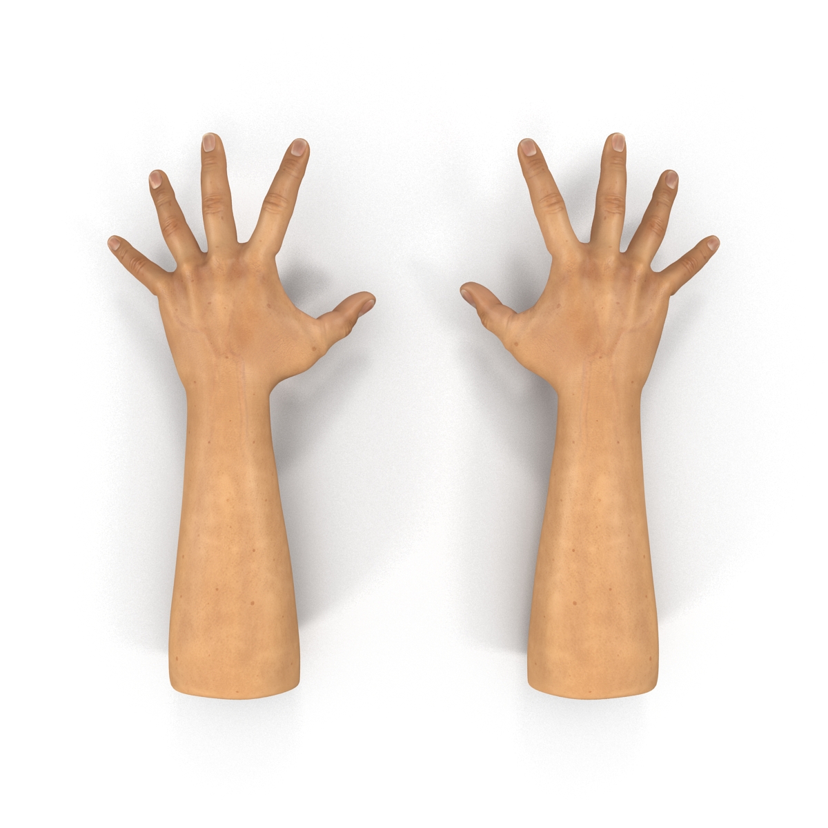 3D Man Hands 2 Pose 4 model