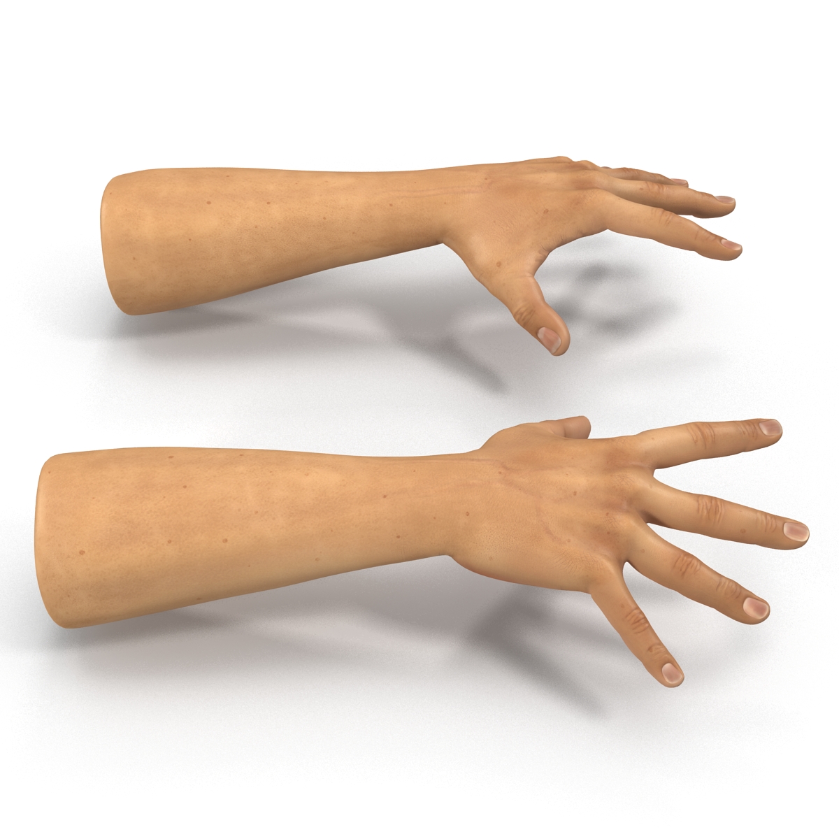 3D Man Hands 2 Pose 4 model