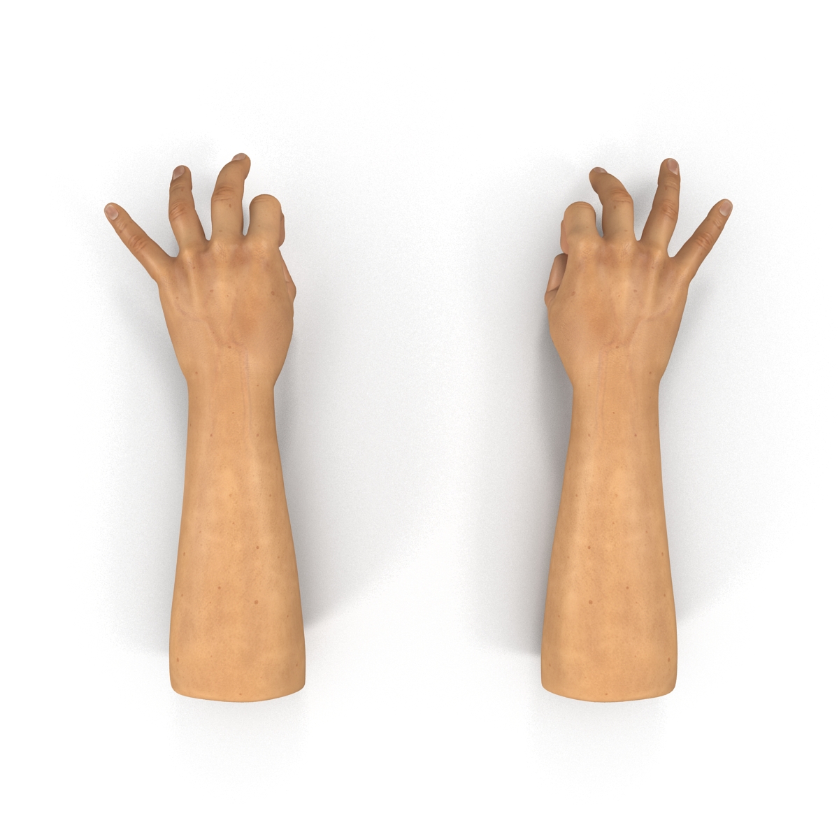 3D Man Hands 2 Pose 5 model