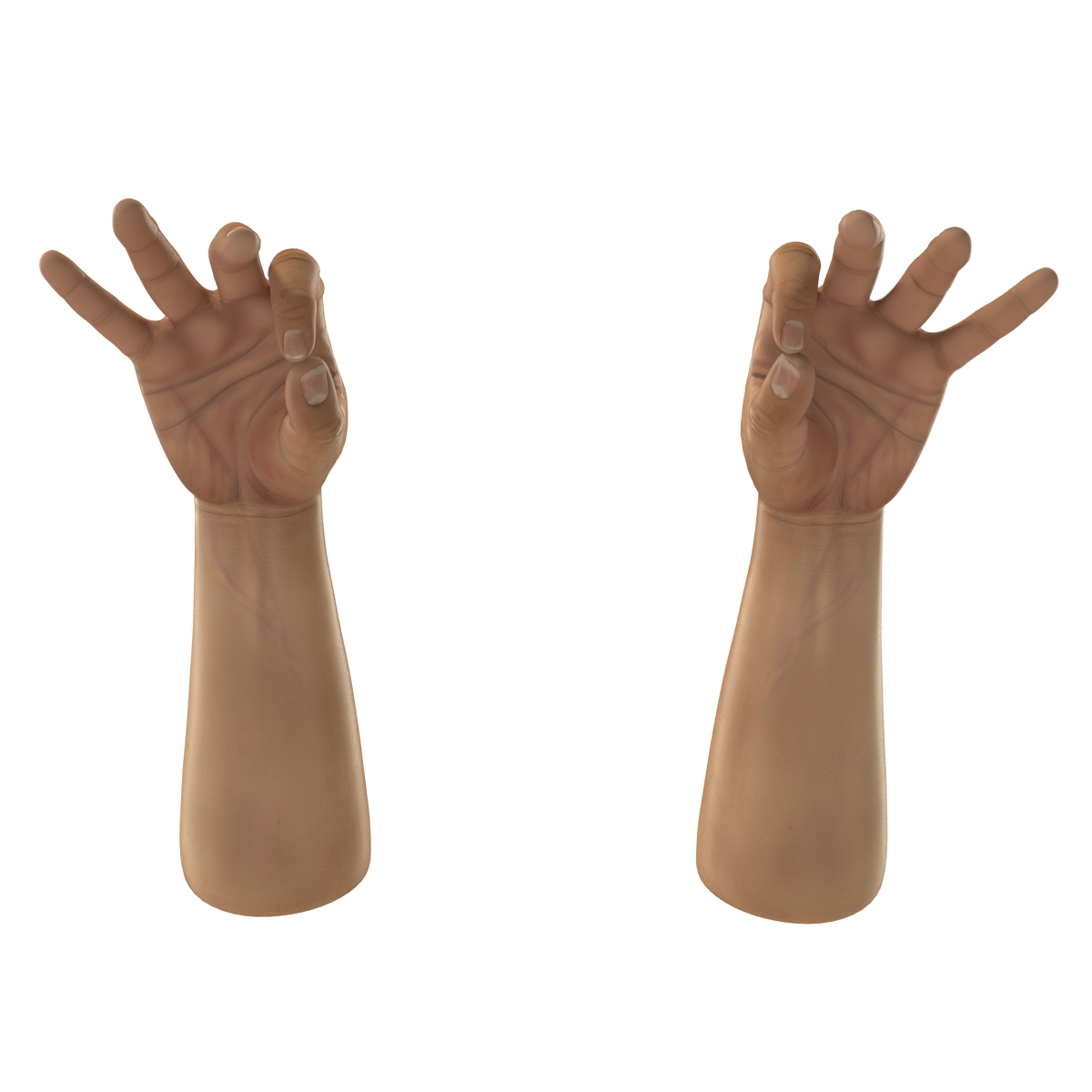 3D Man Hands 2 Pose 5 model