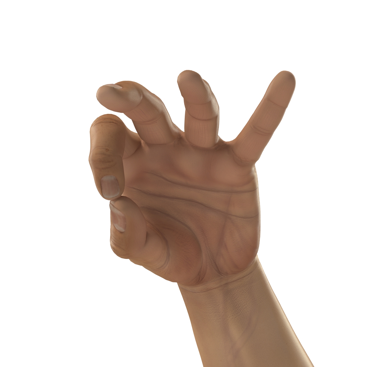 3D Man Hands 2 Pose 5 model