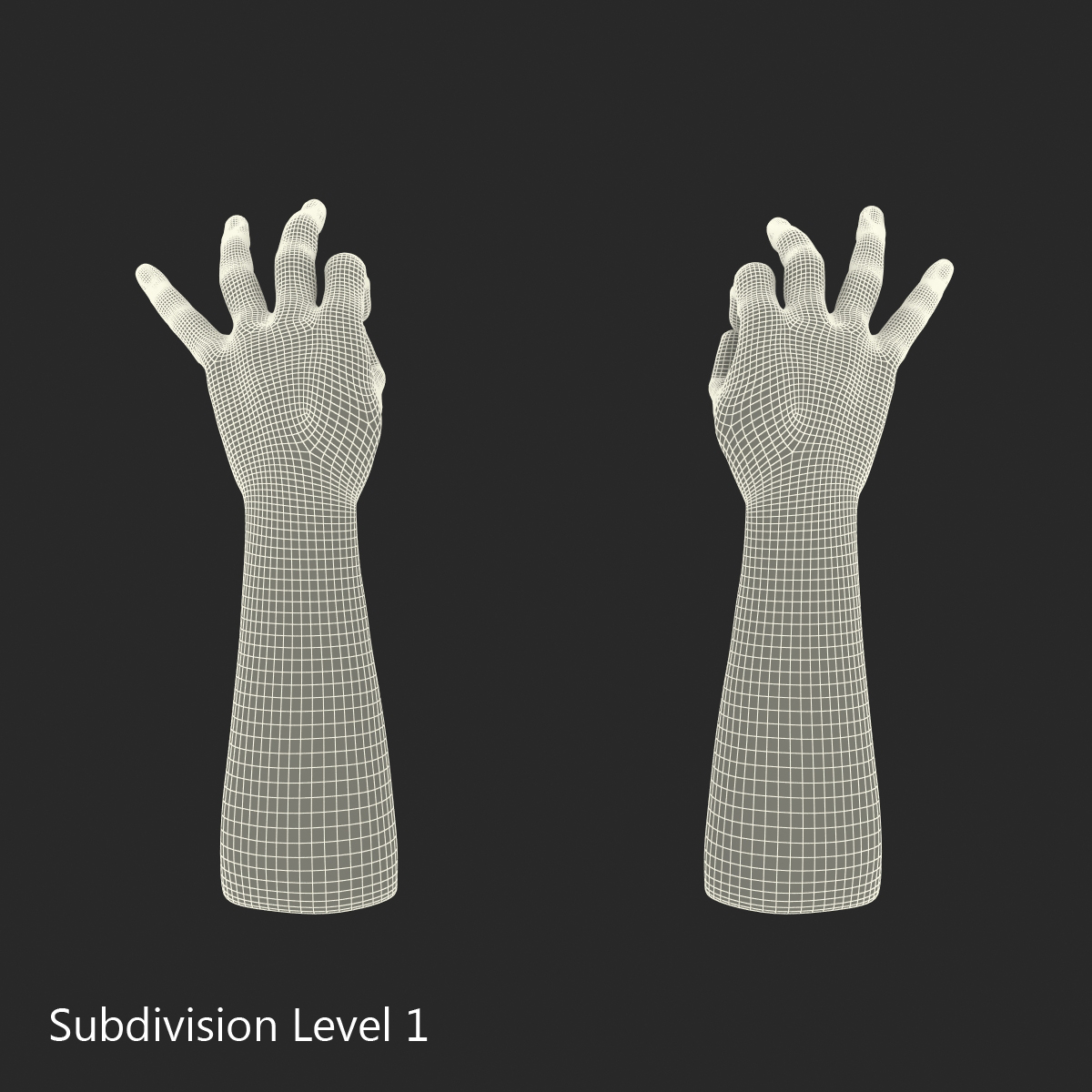 3D Man Hands 2 Pose 5 model