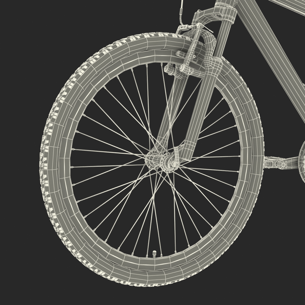 3D model Mountain Bike Generic 2 Rigged