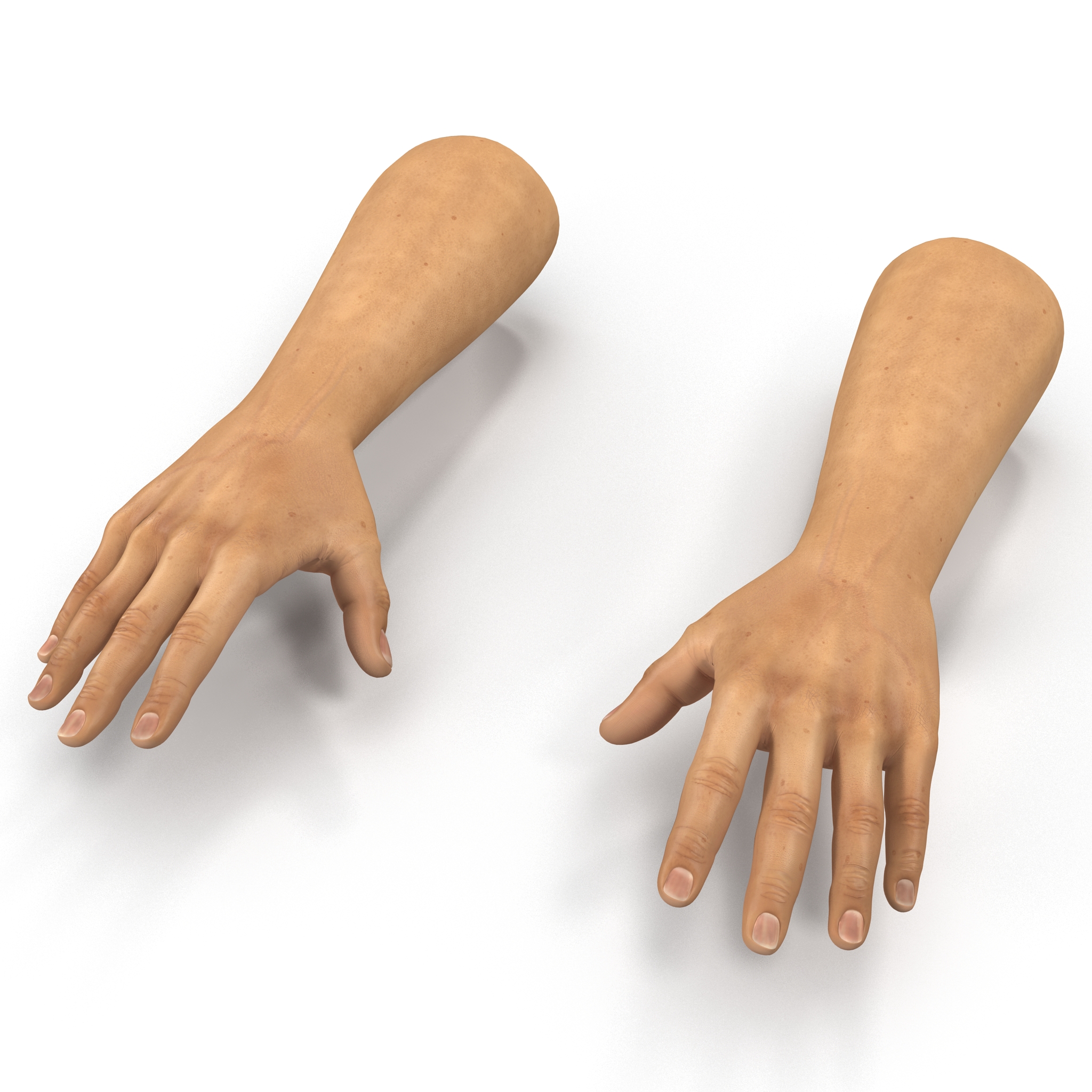 3D Man Hands 2