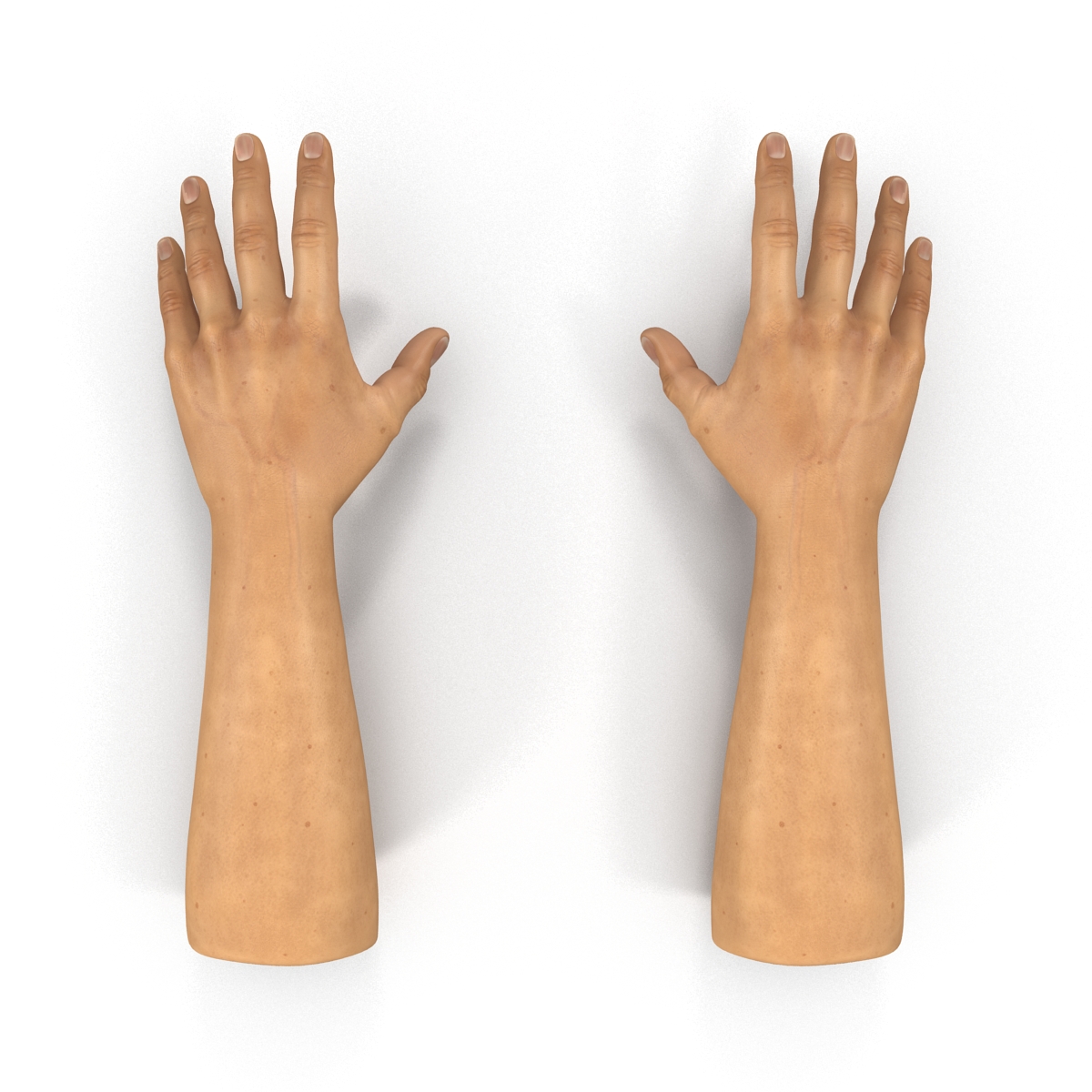 3D Man Hands 2