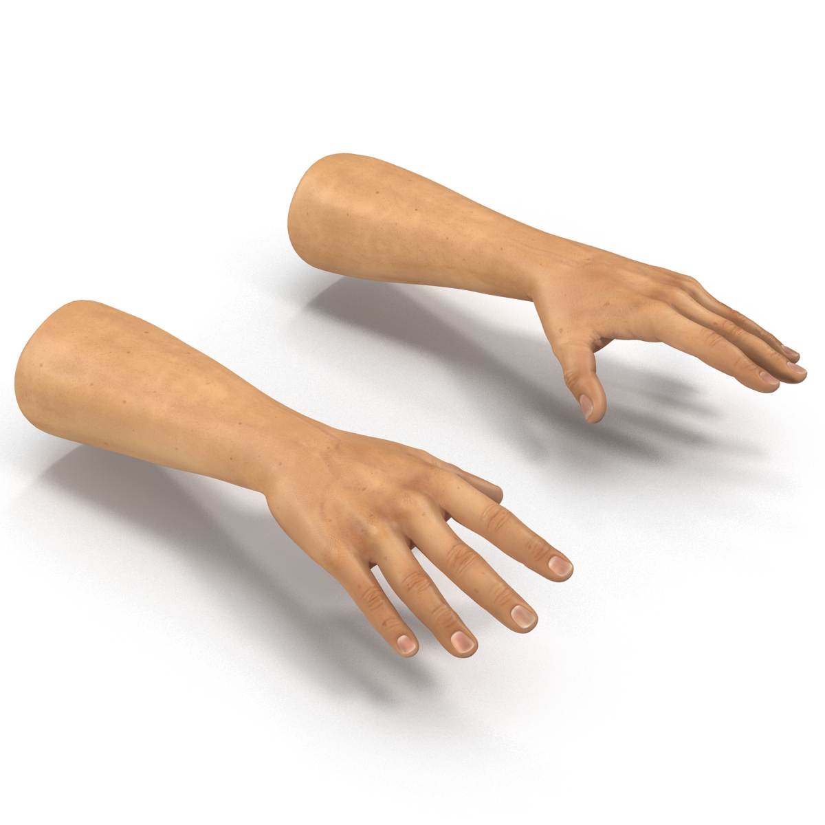 3D Man Hands 2