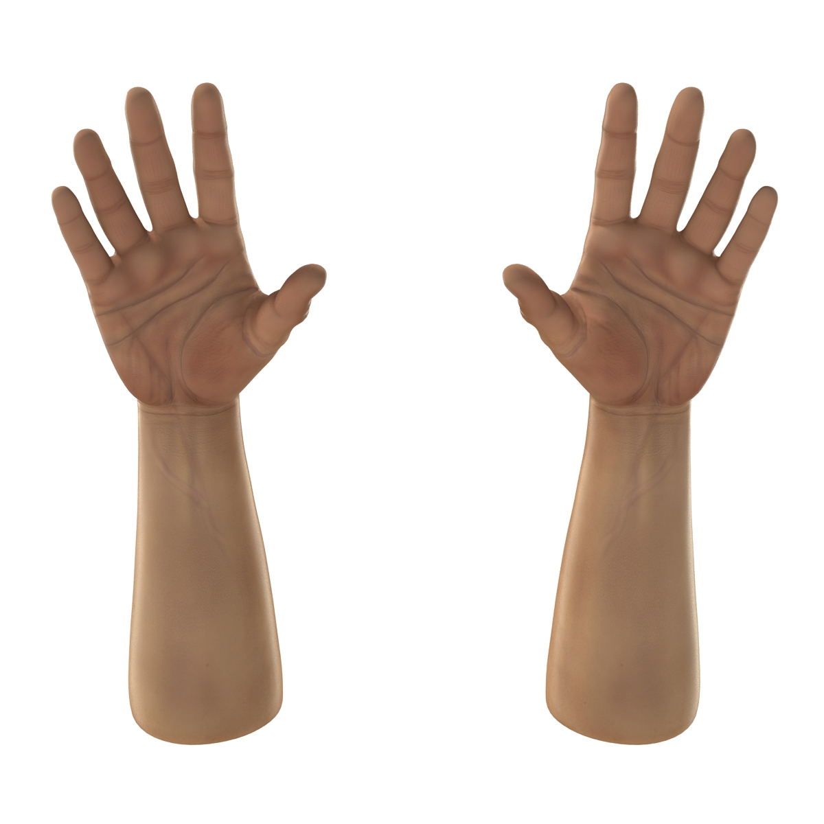 3D Man Hands 2