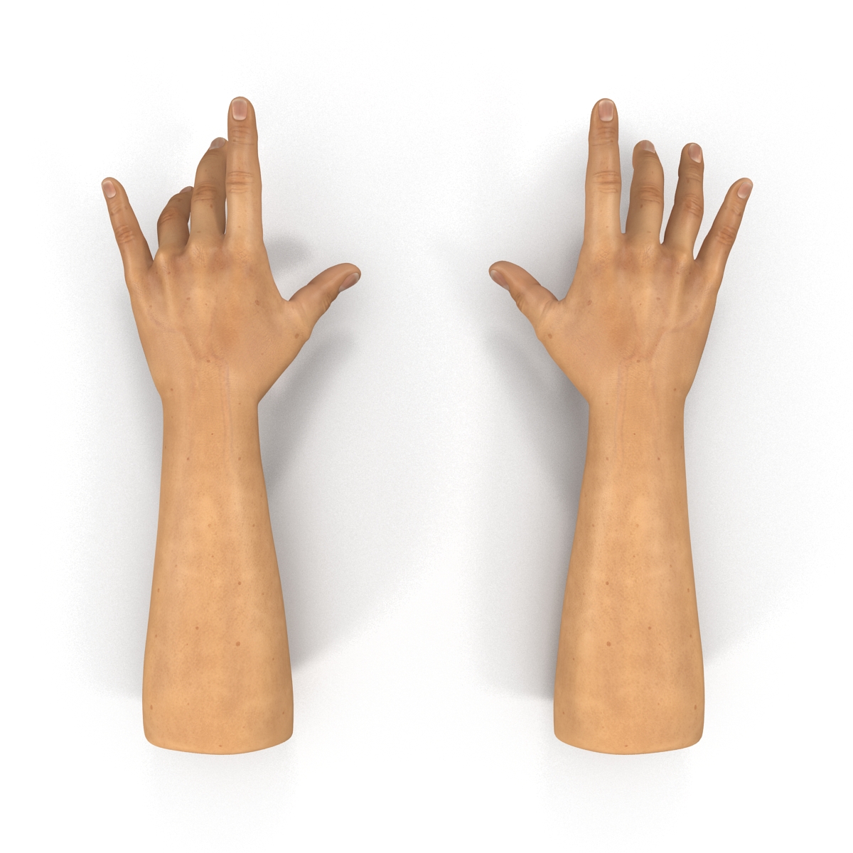 3D Man Hands 2 Pose 3 model