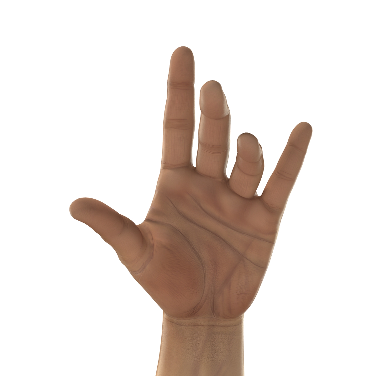 3D Man Hands 2 Pose 3 model