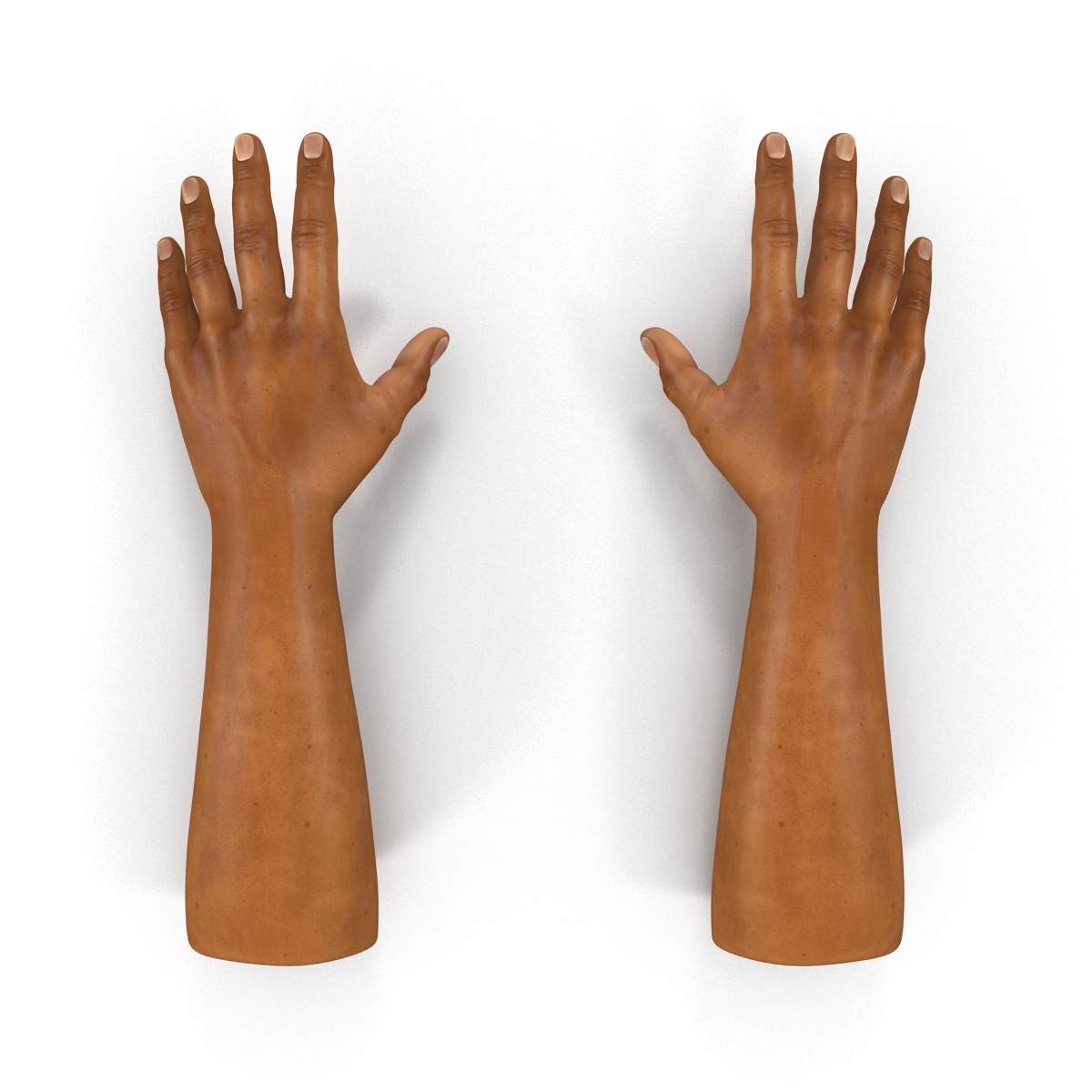 African Man Hands 2 3D model