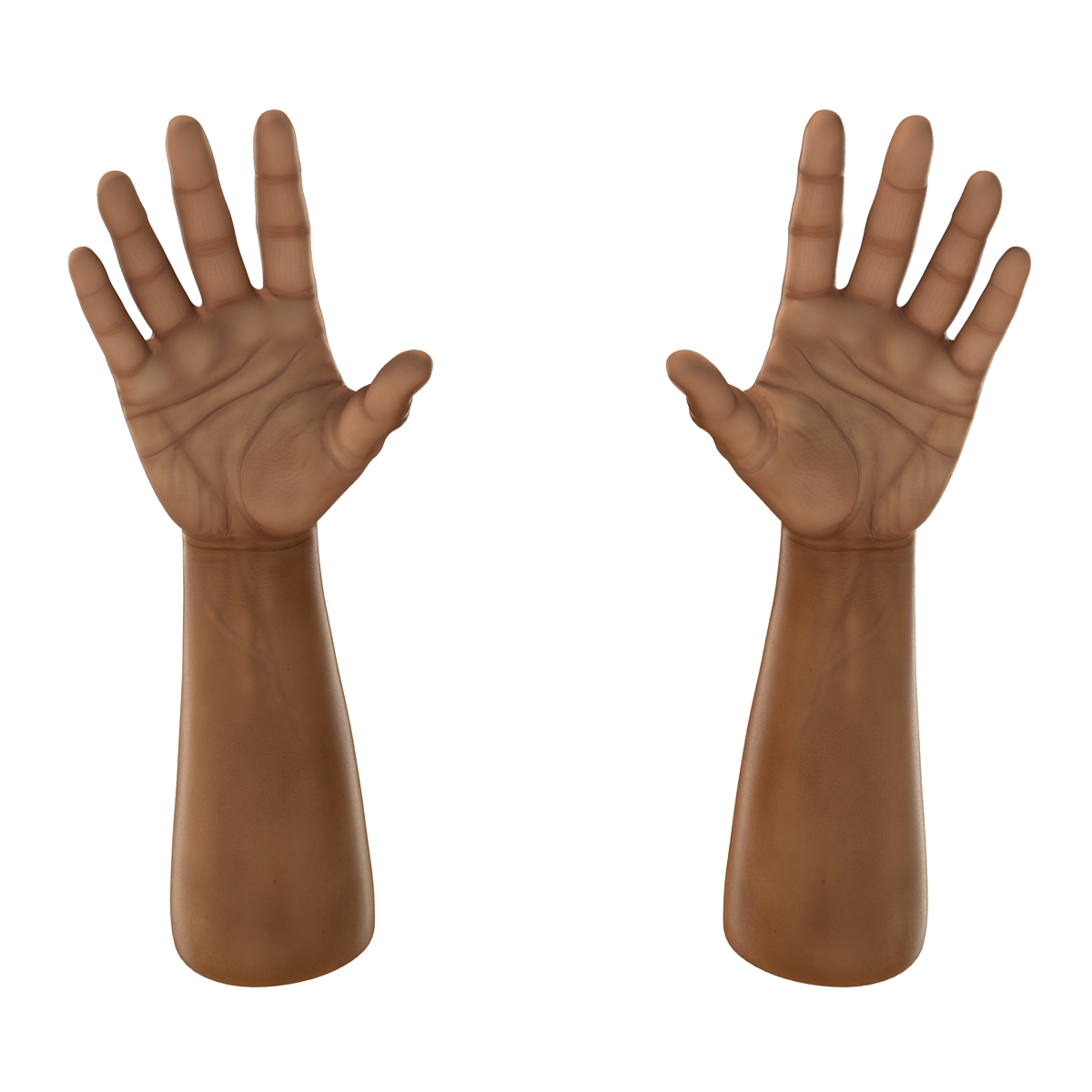 African Man Hands 2 3D model