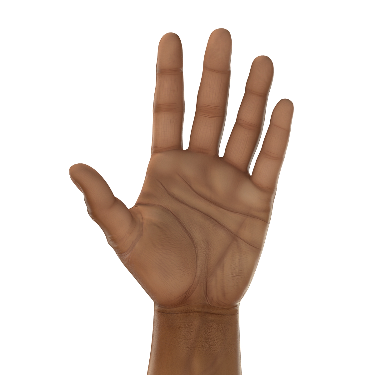 African Man Hands 2 3D model