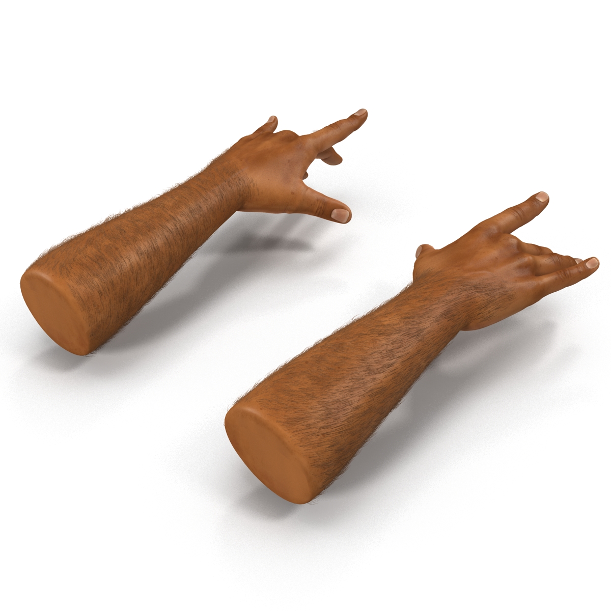 3D model African Man Hands 2 with Fur Pose 3