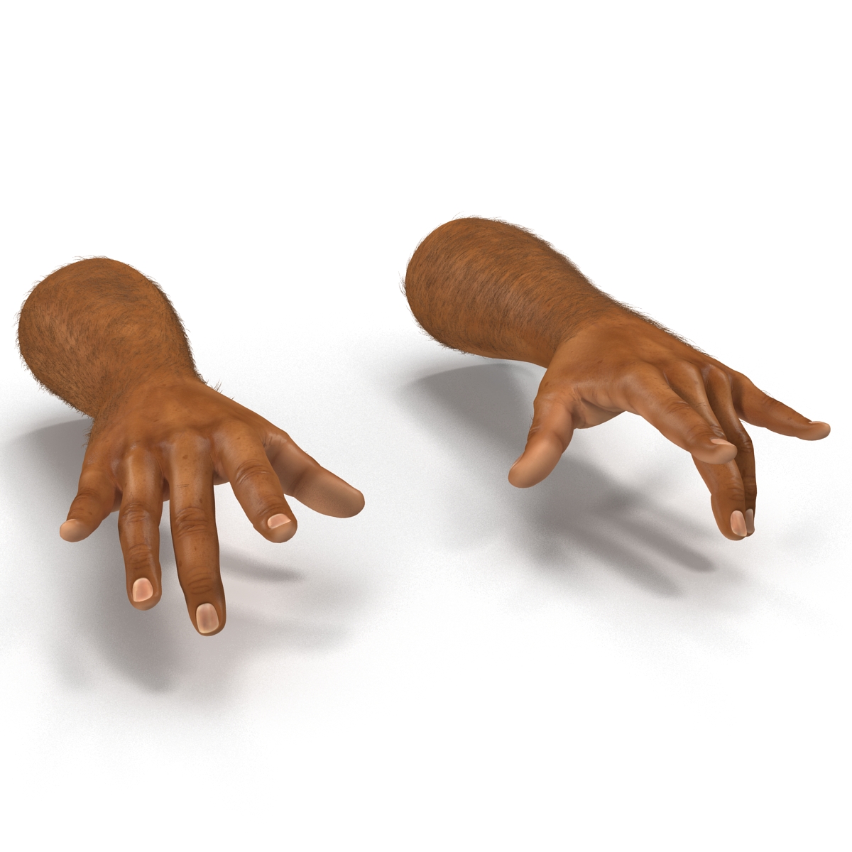 3D model African Man Hands 2 with Fur Pose 3