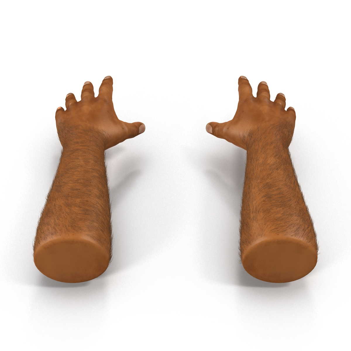 3D African Man Hands 2 with Fur model