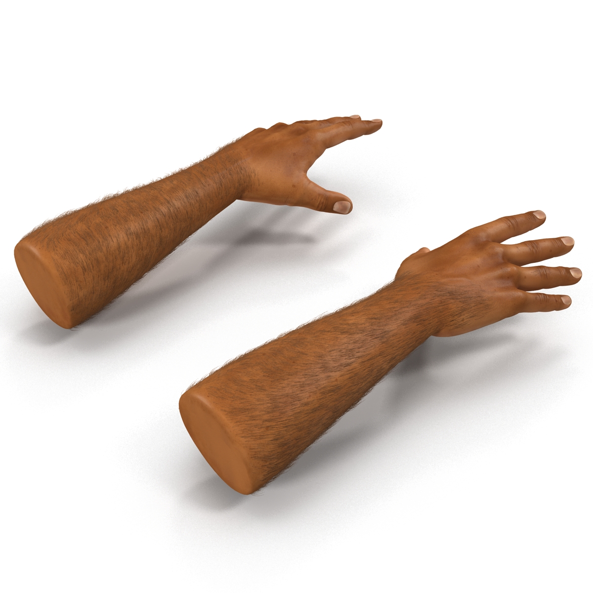 3D African Man Hands 2 with Fur model