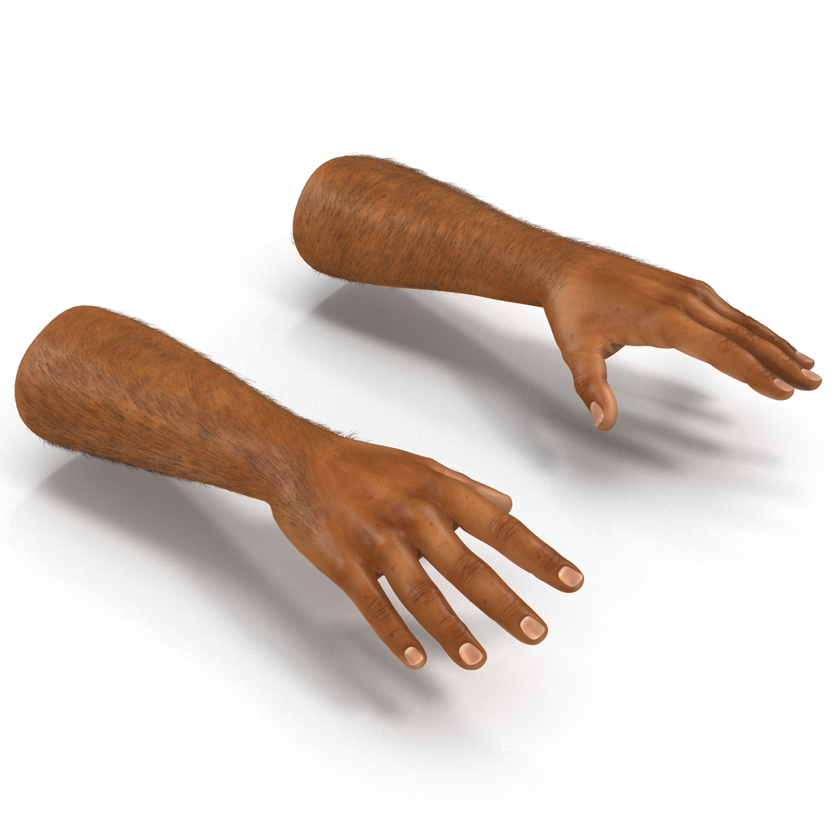 3D African Man Hands 2 with Fur model