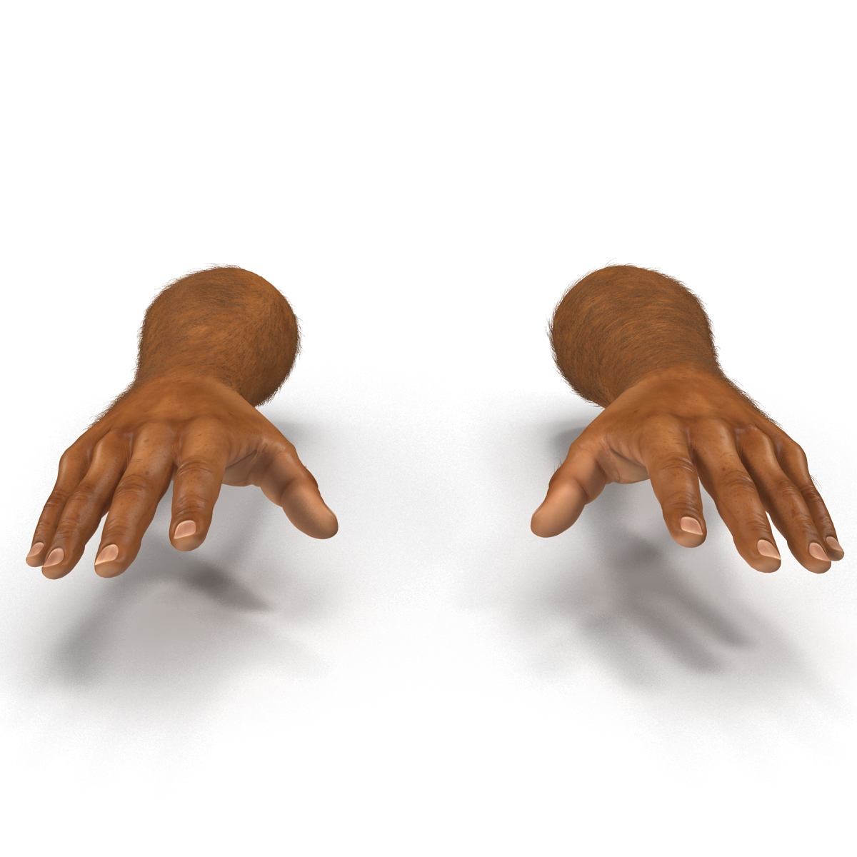 3D African Man Hands 2 with Fur model