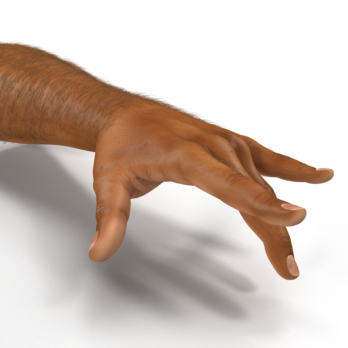 3D model African Man Hands 2 with Fur Pose 3