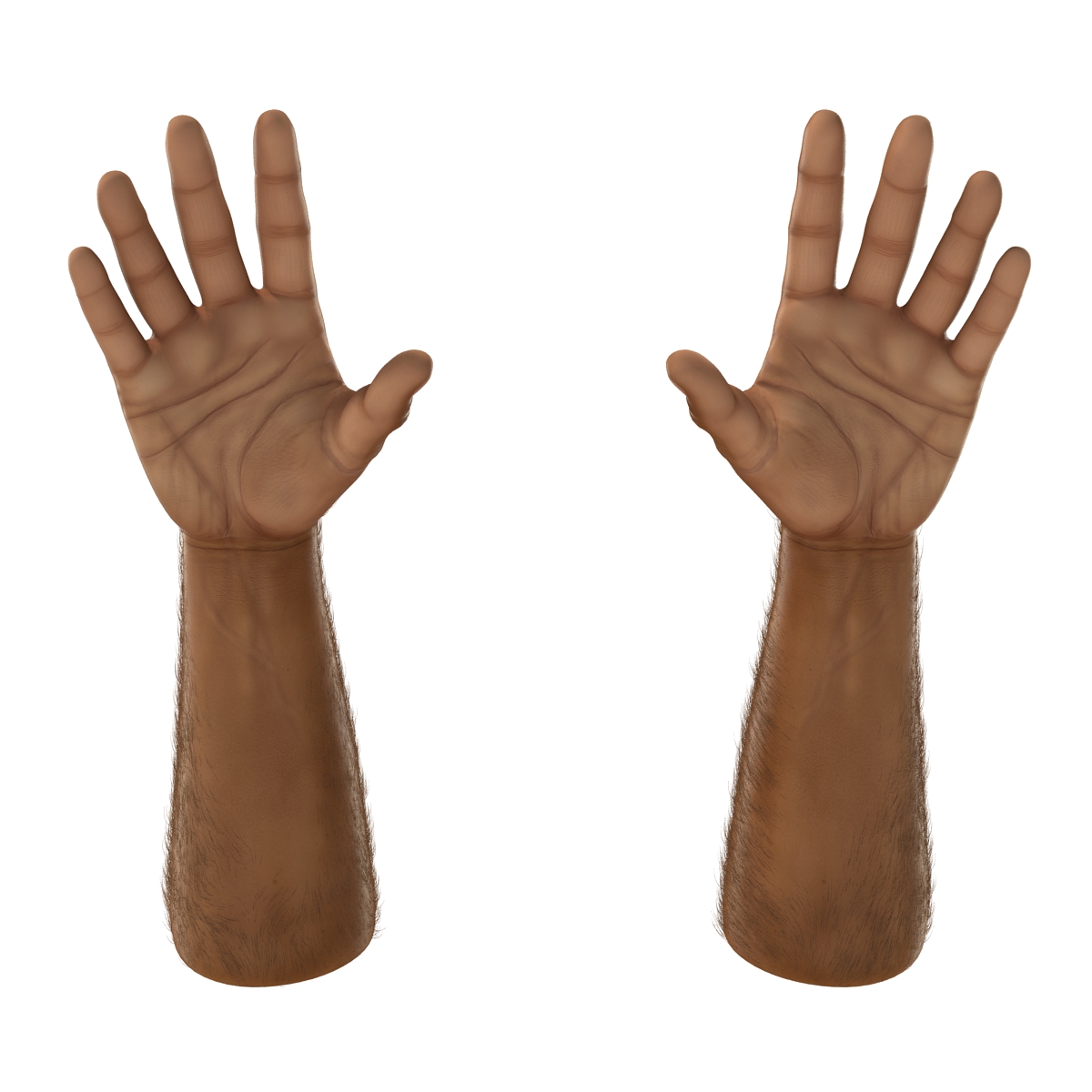 3D African Man Hands 2 with Fur model