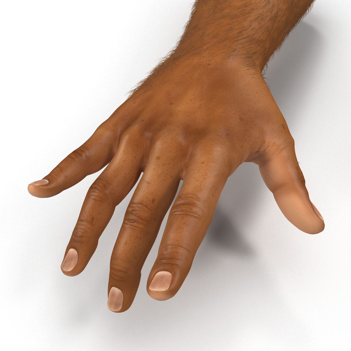 3D model African Man Hands 2 with Fur Pose 3