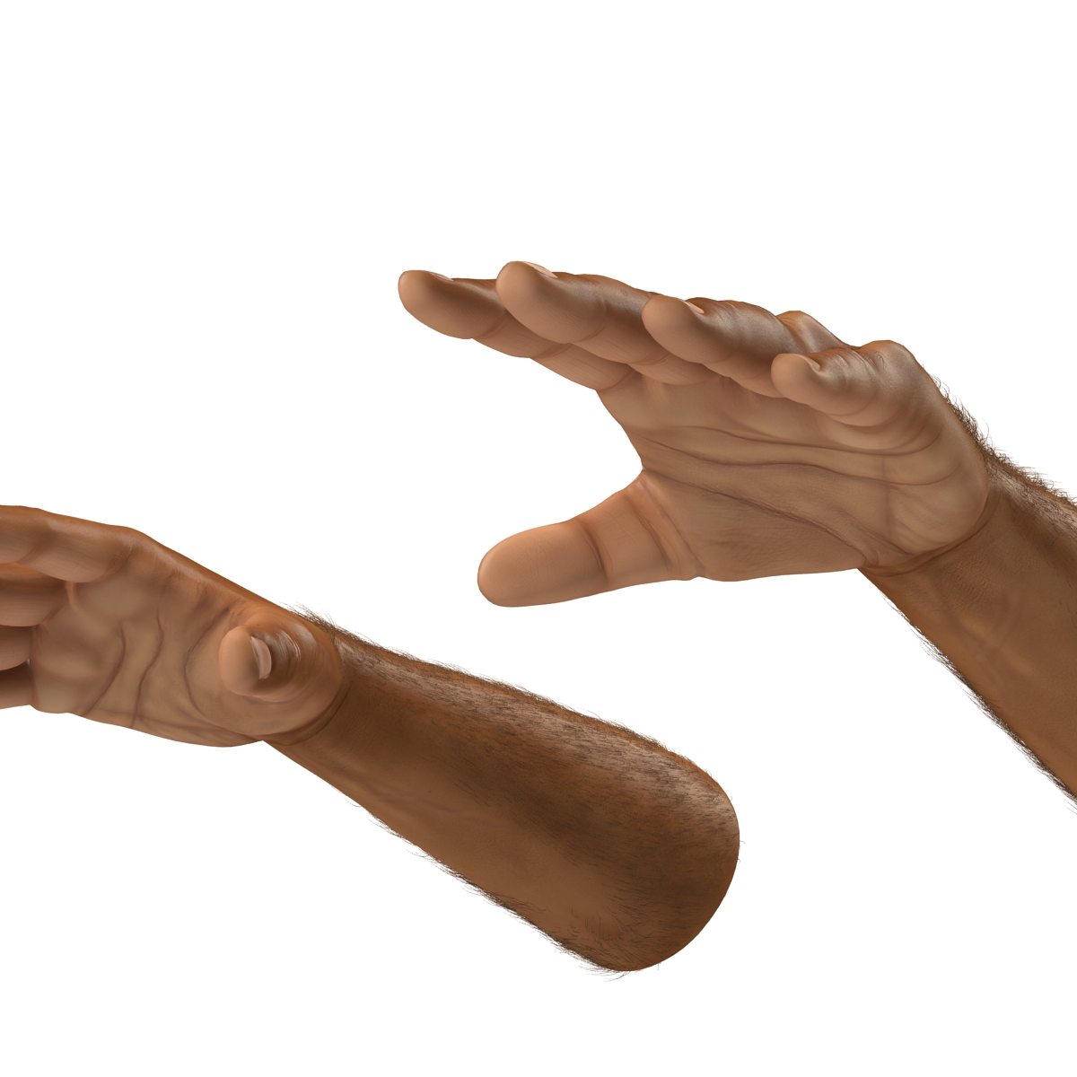 3D African Man Hands 2 with Fur model