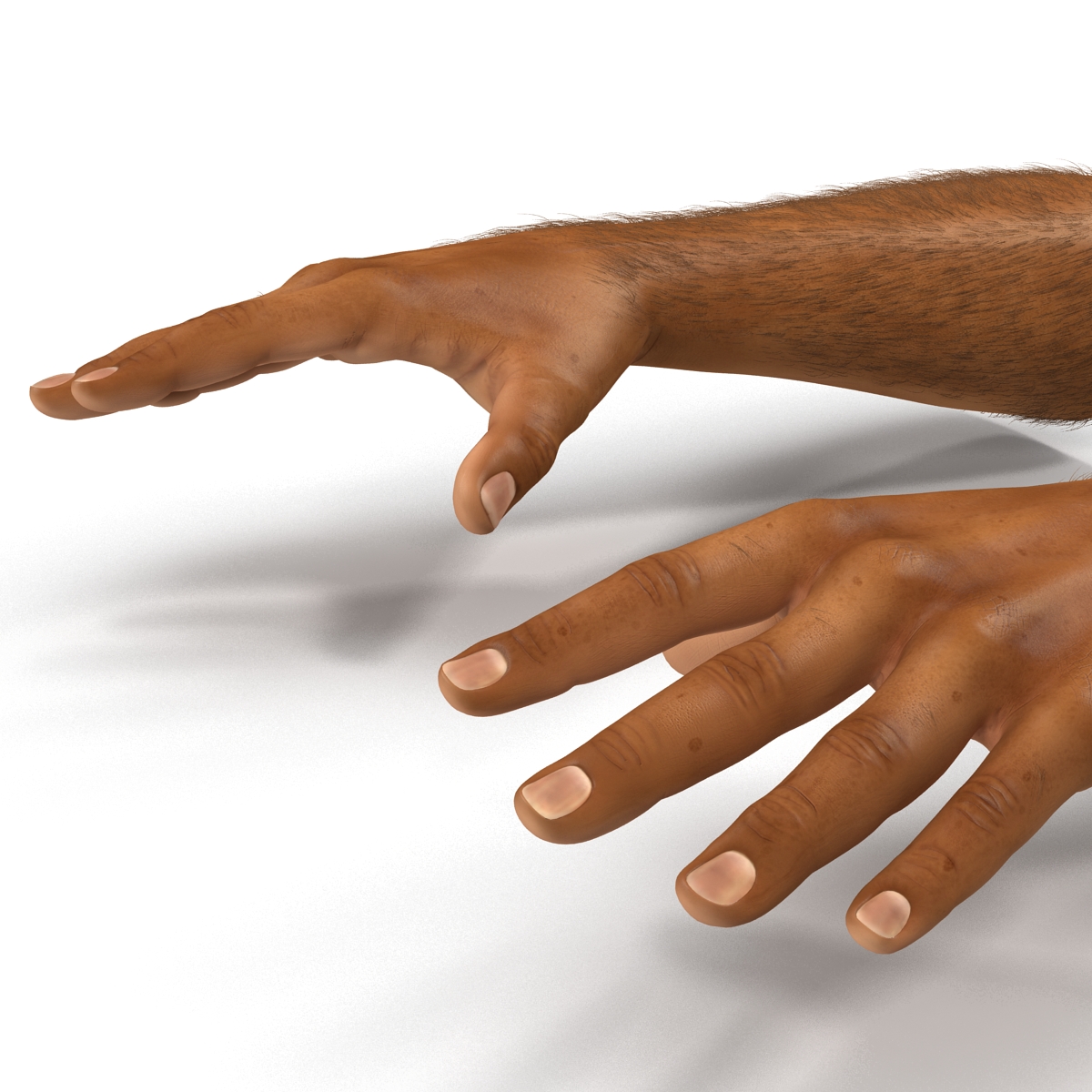 3D African Man Hands 2 with Fur model