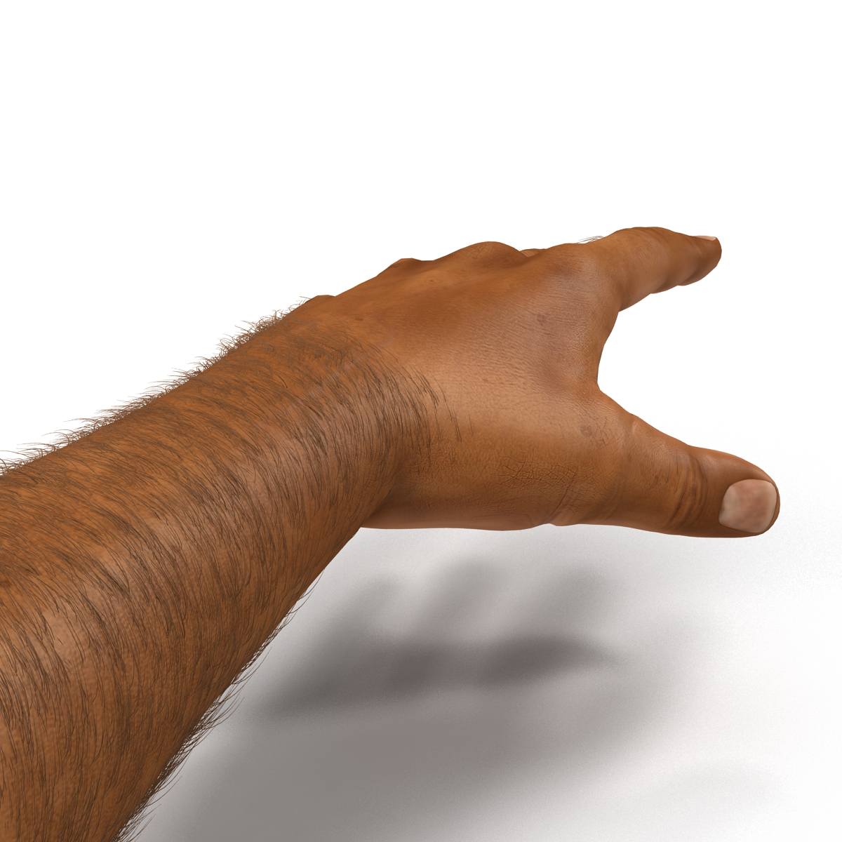 3D African Man Hands 2 with Fur model