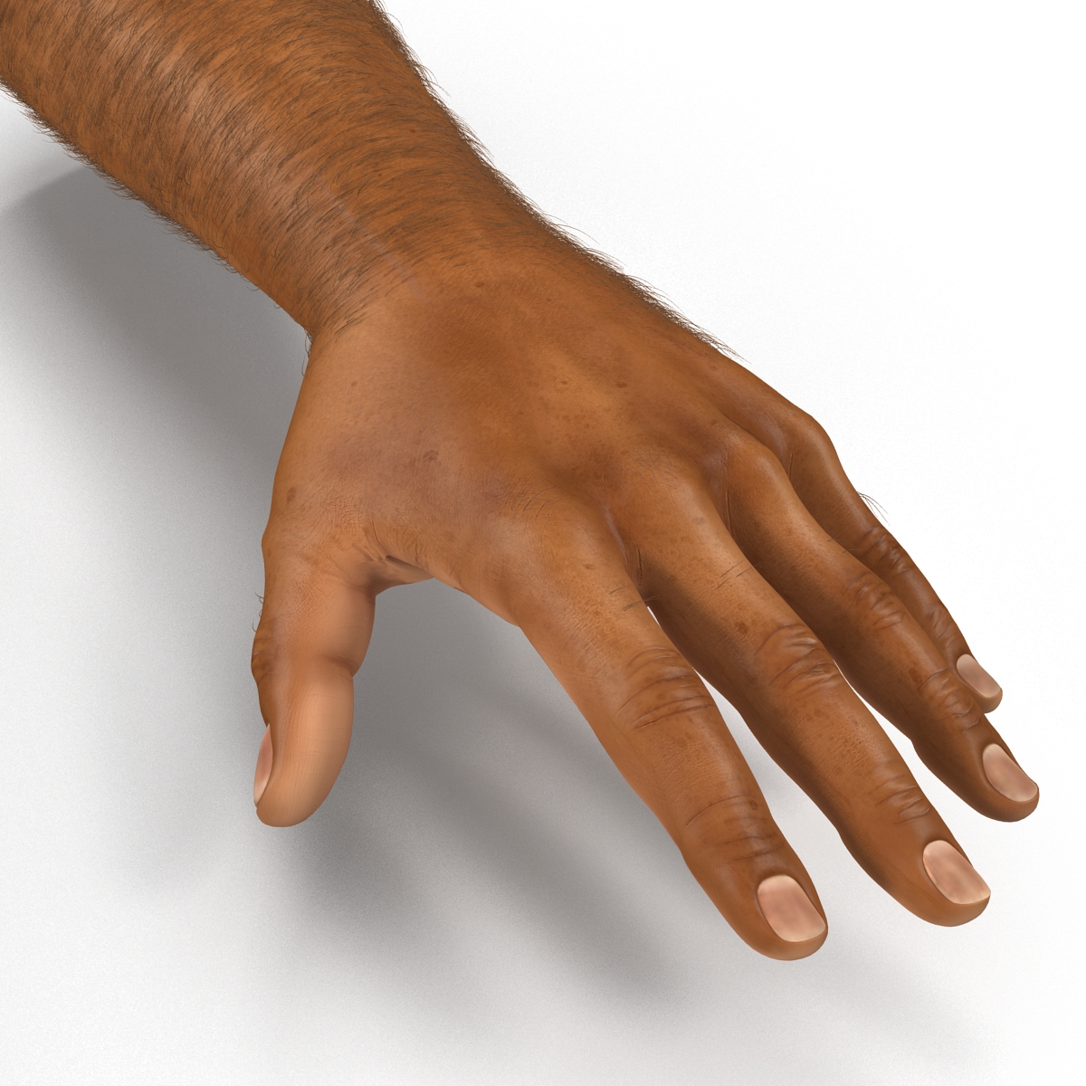 3D African Man Hands 2 with Fur model