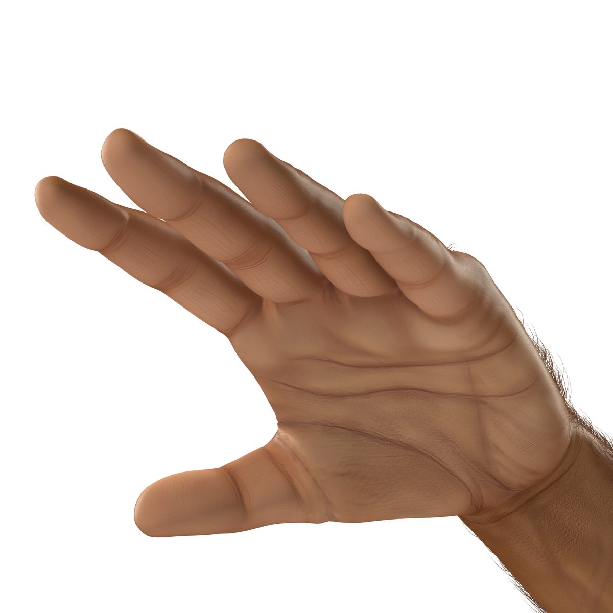 3D African Man Hands 2 with Fur model