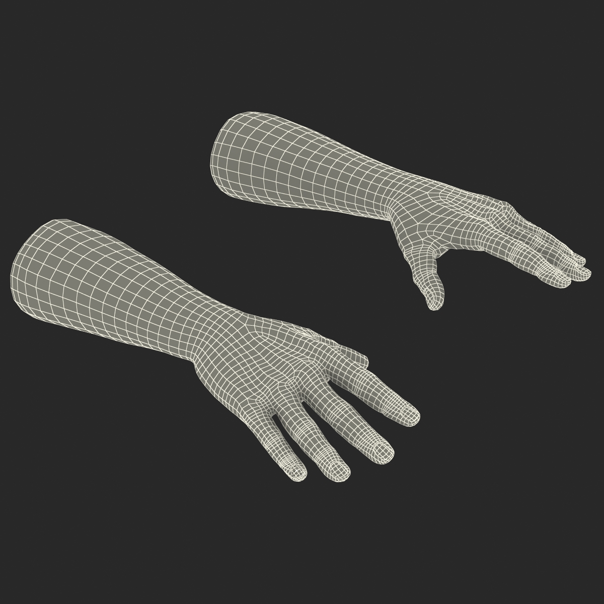 3D African Man Hands 2 with Fur model