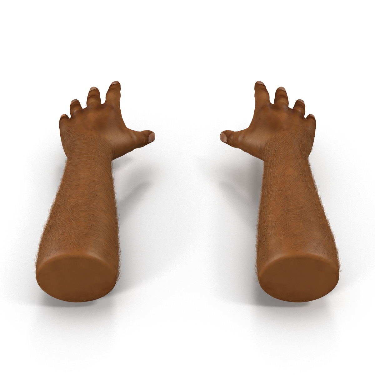 3D African Man Hands 3 with Fur model