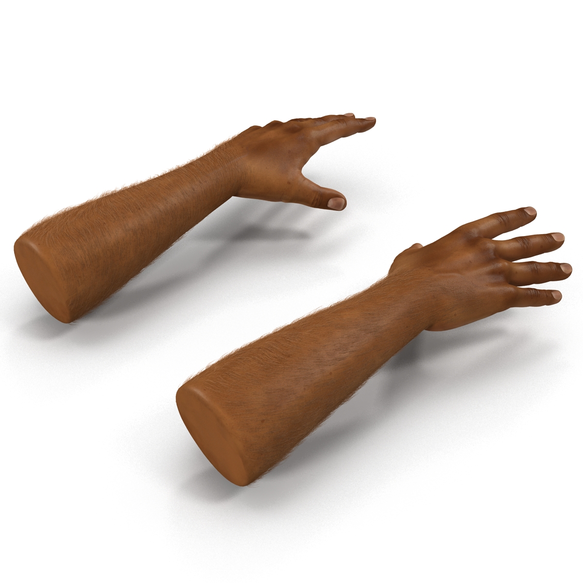 3D African Man Hands 3 with Fur model