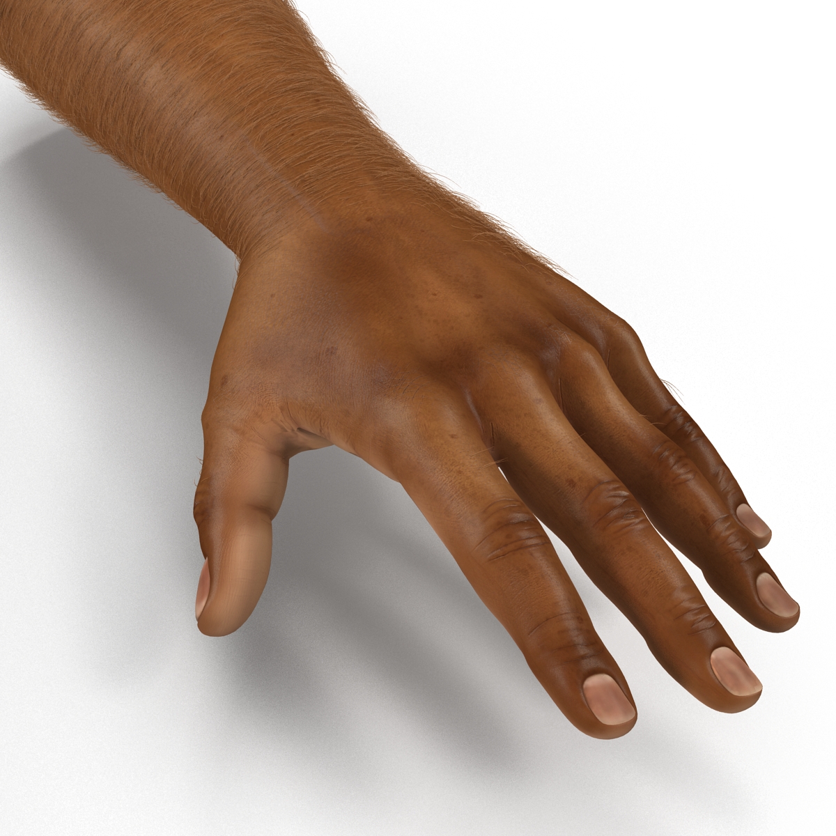 3D African Man Hands 3 with Fur model