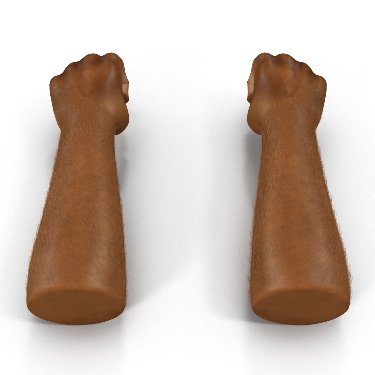 3D model African Man Hands 3 with Fur Pose 2