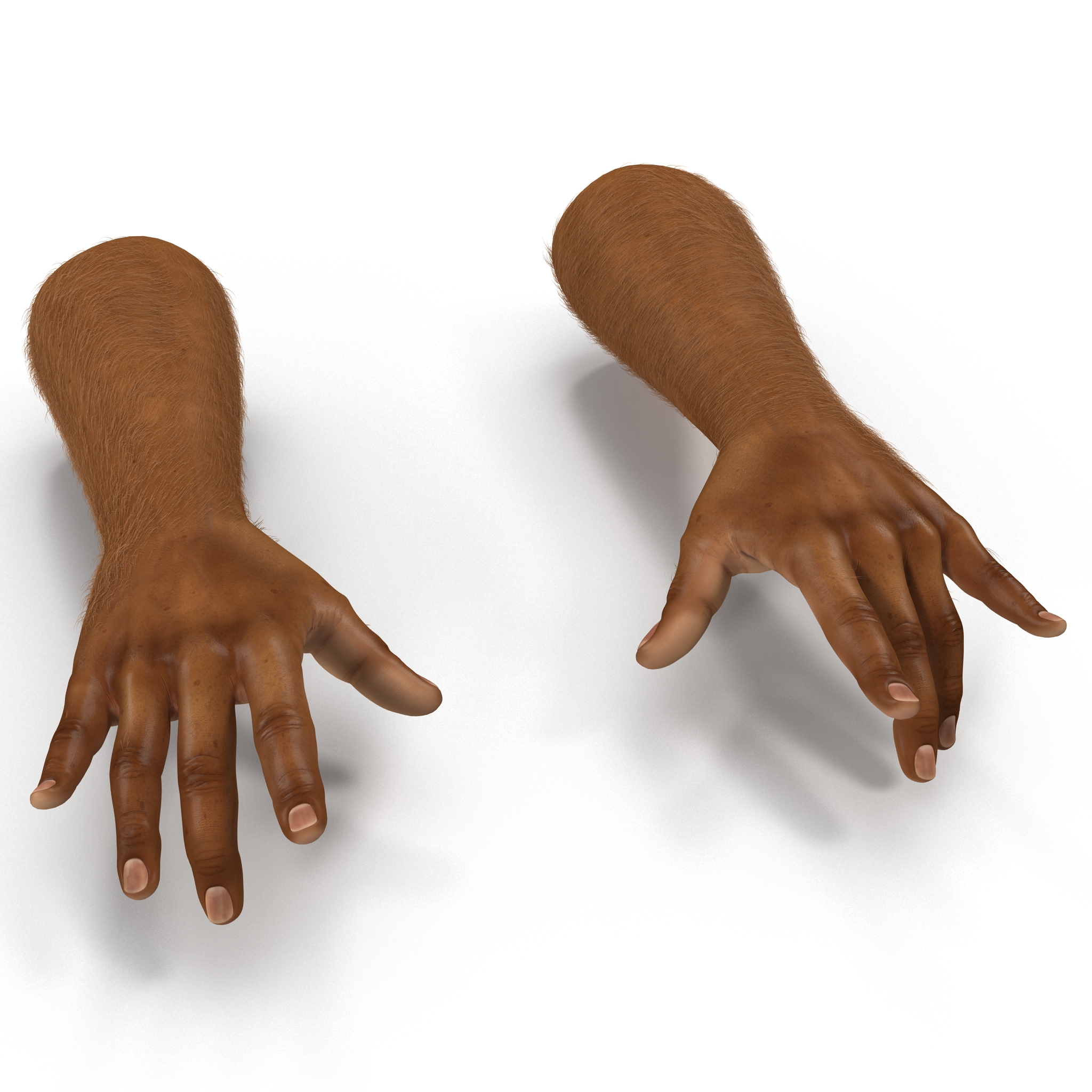 3D model African Man Hands 3 with Fur Pose 3