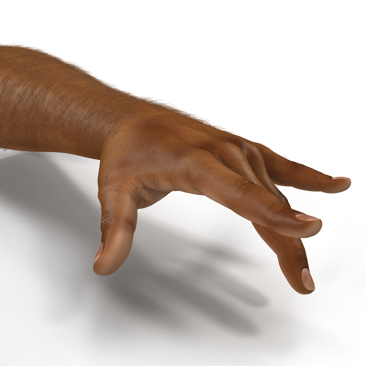 3D model African Man Hands 3 with Fur Pose 3