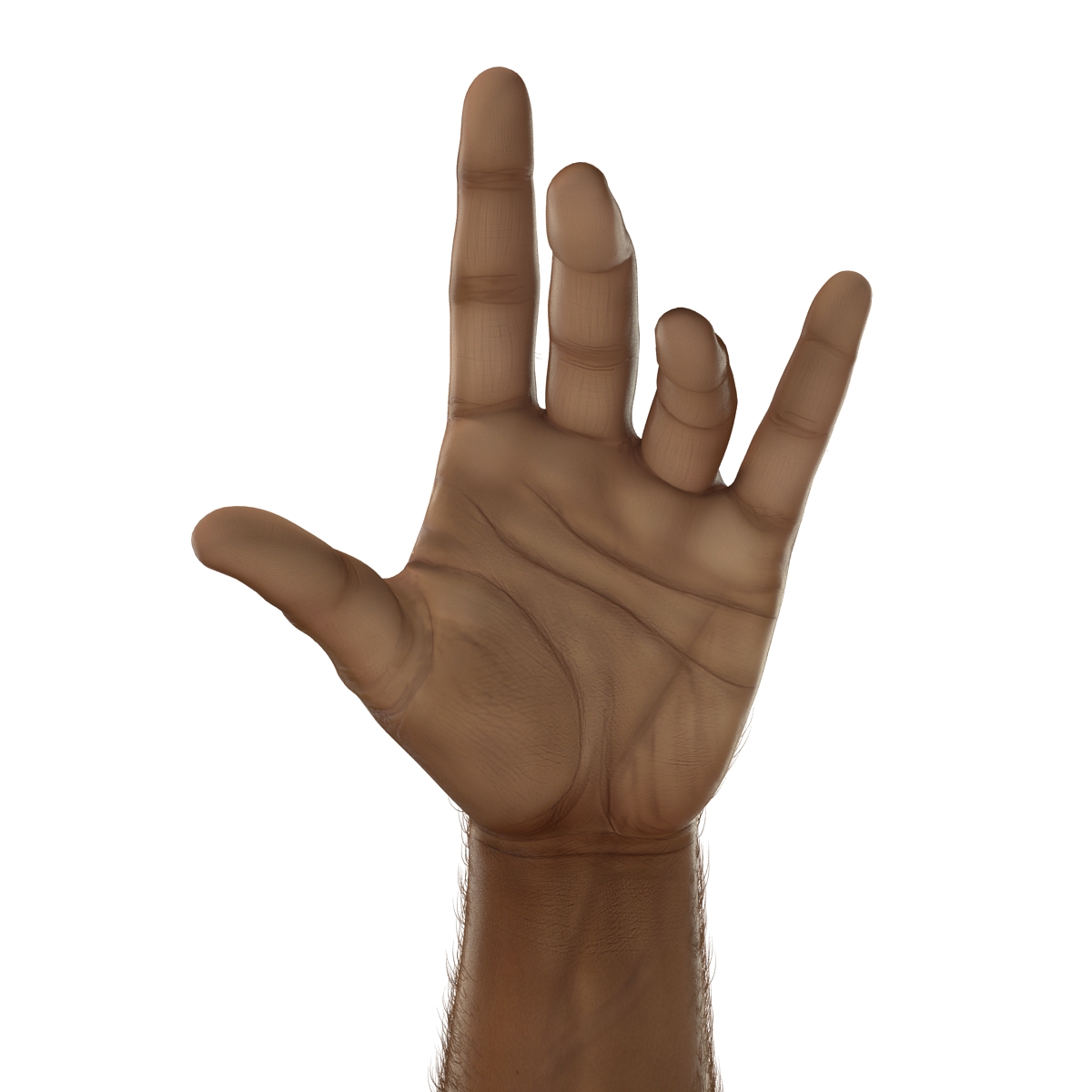 3D model African Man Hands 3 with Fur Pose 3