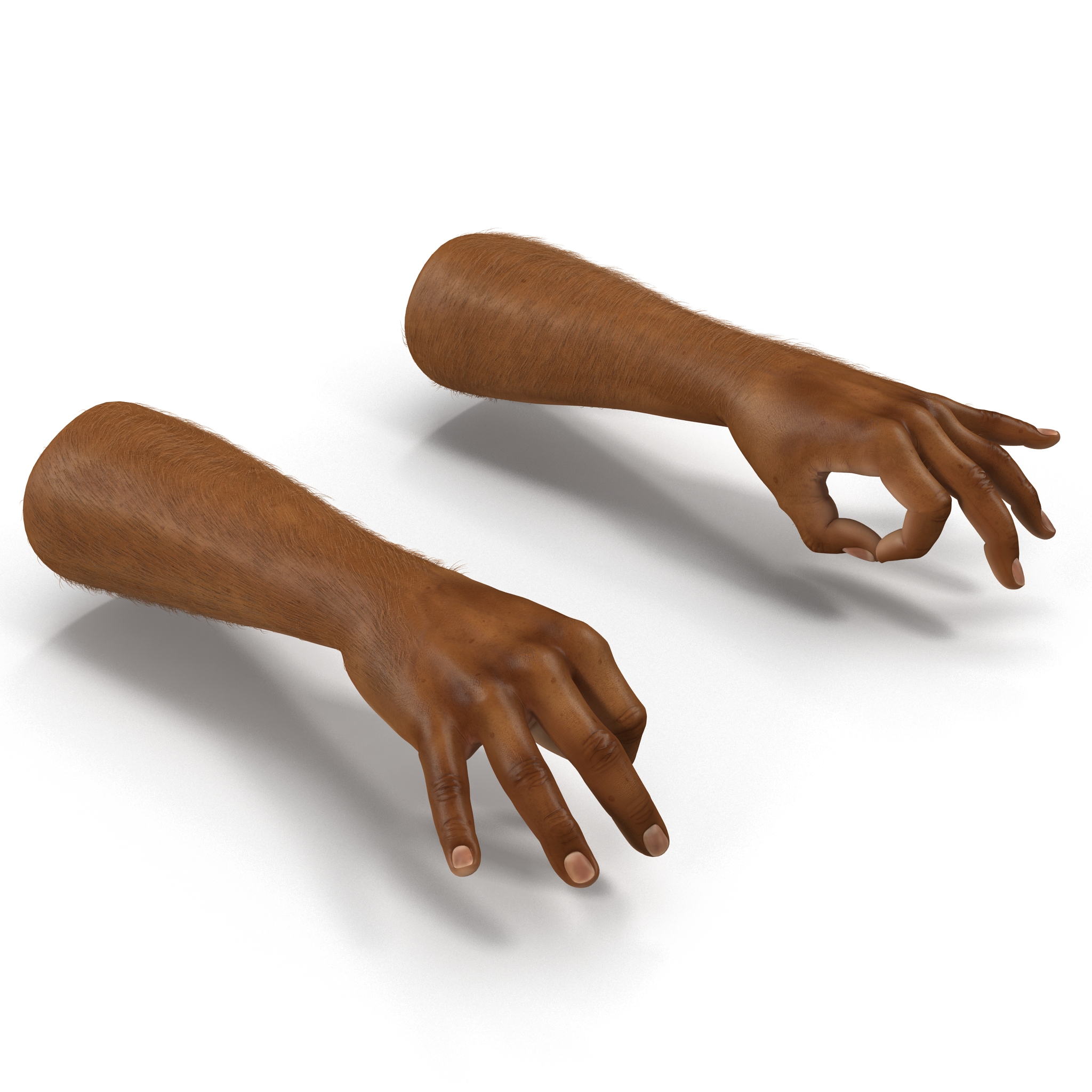 3D model African Man Hands 3 with Fur Pose 5