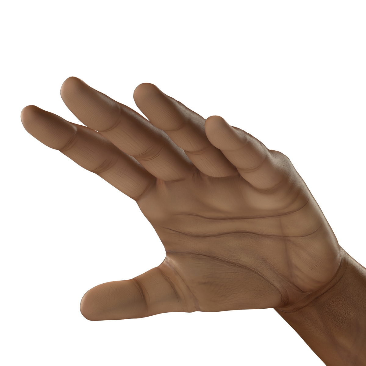 African Man Hands 3 3D model